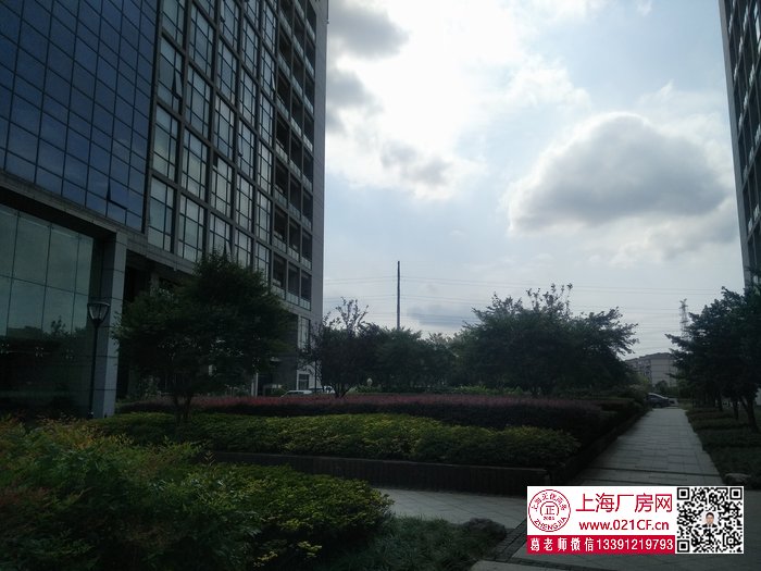 G1776 靜安 地鐵一號(hào)線汶水路站附近 市北高新園區(qū)內(nèi)研發(fā)辦公展示樓出租 一樓500平，樓上200平起租