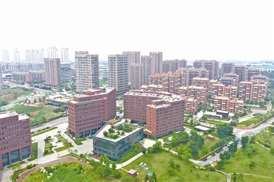 青島國(guó)際招商產(chǎn)業(yè)園：全球精準(zhǔn)招商 打造優(yōu)勢(shì)產(chǎn)業(yè)集聚高地