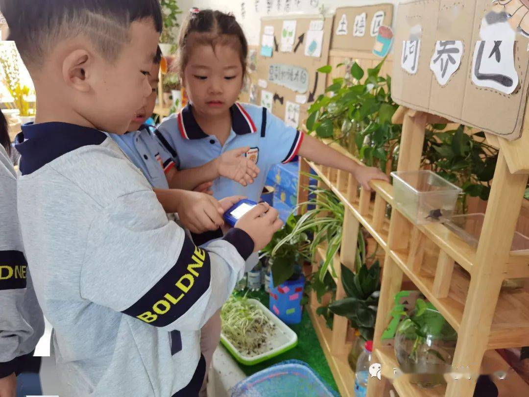 小烏龜你好！——開發(fā)區(qū)中南熙悅幼兒園班本課程敘事
